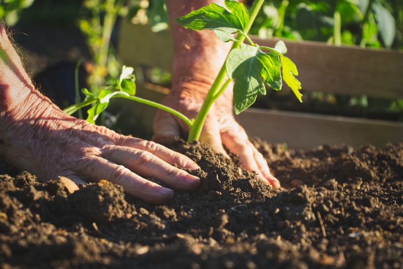 Flower Bed Maintenance in Ventura County, CA