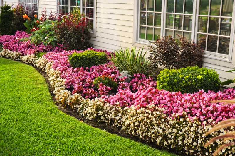 Ground Cover Planting in Ventura County, CA
