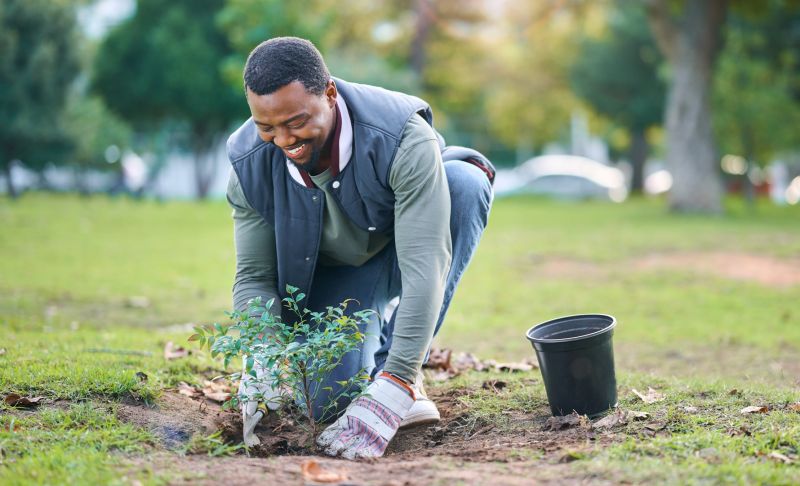 Shrub Planting Service in Honolulu, HI